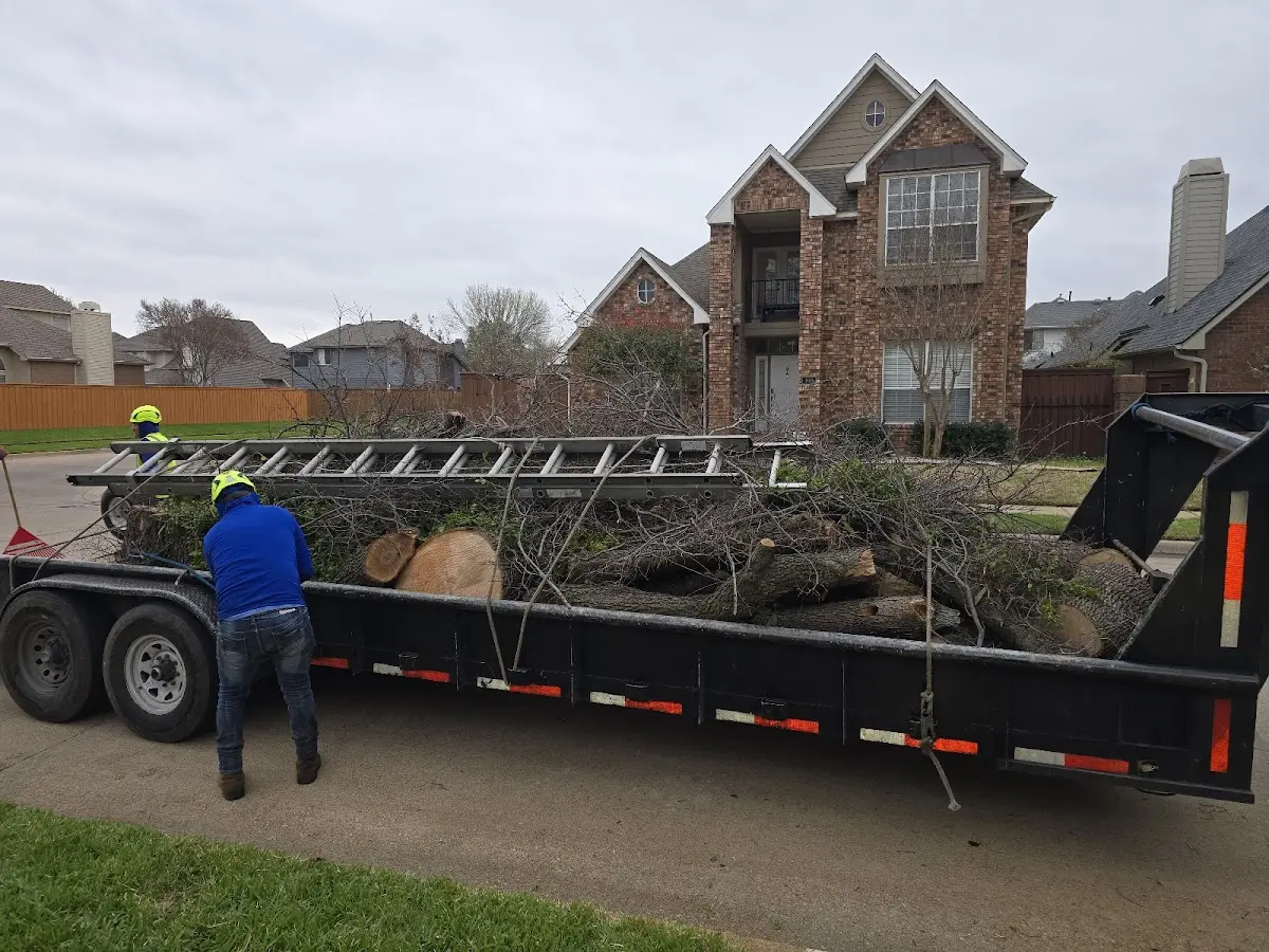 Expert Lot Clearing with proper safety equipment in Ogdensburg